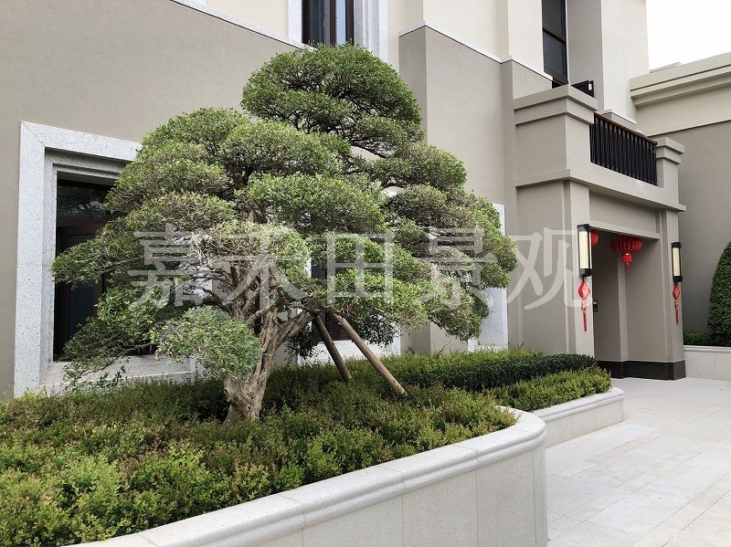 如何選擇專業(yè)的景觀設(shè)計(jì)師或施工隊(duì)伍？